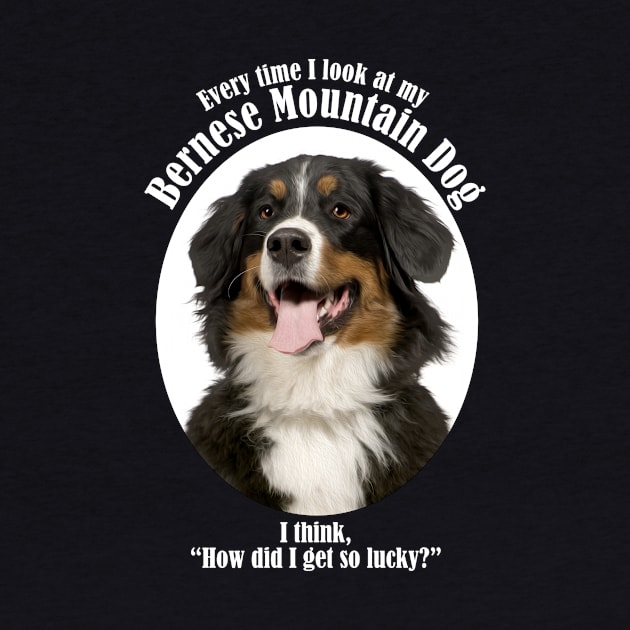 Lucky Bernese Mountain Dog by You Had Me At Woof